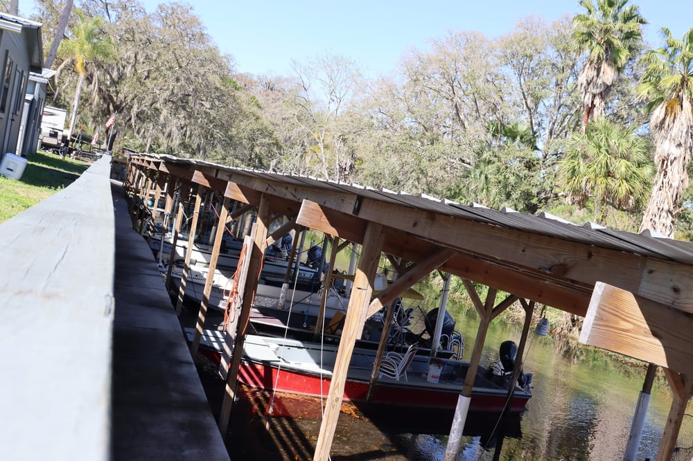 The Marina The Marina